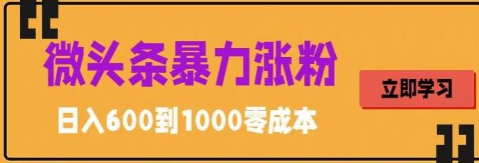 微头条暴力涨粉技巧搬运文案就能涨几万粉丝，简单0成本，日赚600【揭秘】-创业项目致富网、狼哥项目资源库