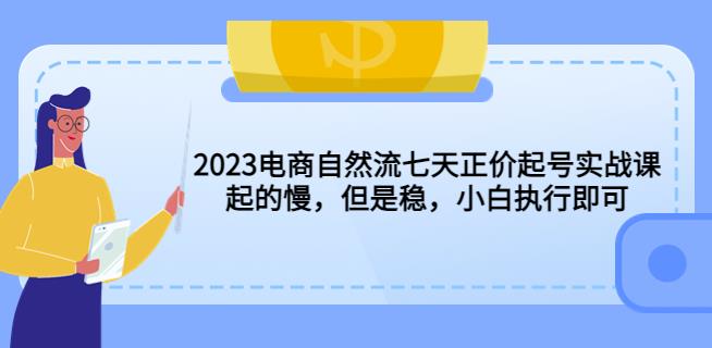 2023电商自然流七天正价起号实战课：起的慢，但是稳，小白执行即可！-狼哥资源库