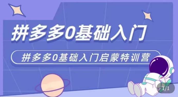 拼多多运营0-1实操特训营，拼多多0基础入门，从基础到进阶的可实操玩法-狼哥资源库