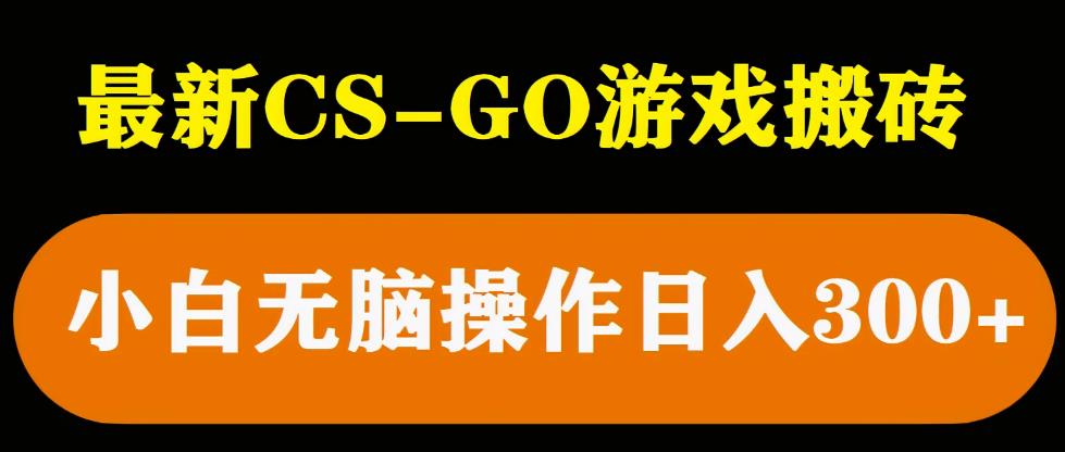 最新csgo游戏搬砖游戏，无需挂机小白无脑也能日入300+-狼哥资源库