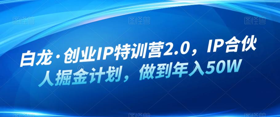 白龙·创业IP特训营2.0，IP合伙人掘金计划，做到年入50W-狼哥资源库