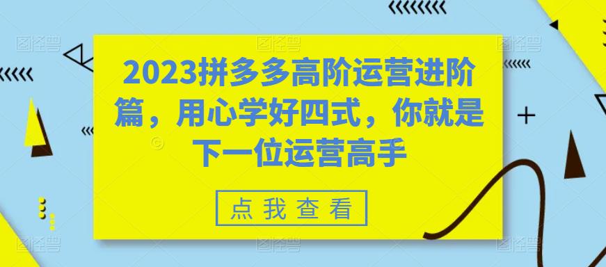 2023拼多多高阶运营进阶篇，用心学好四式，你就是下一位运营高手-创业项目致富网、狼哥项目资源库