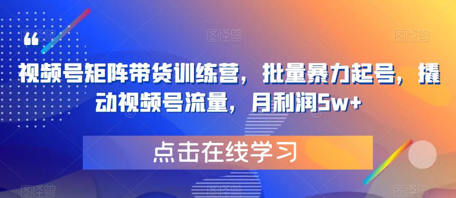 视频号矩阵带货训练营，批量暴力起号，撬动视频号流量，月利润5w+-狼哥资源库