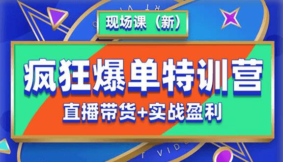 抖音短视频疯狂爆单特训营现场课（新）直播带货+实战案例-狼哥资源库