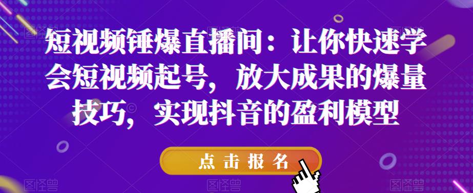 短视频锤爆直播间：让你快速学会短视频起号，放大成果的爆量技巧，实现抖音的盈利模型-狼哥资源库