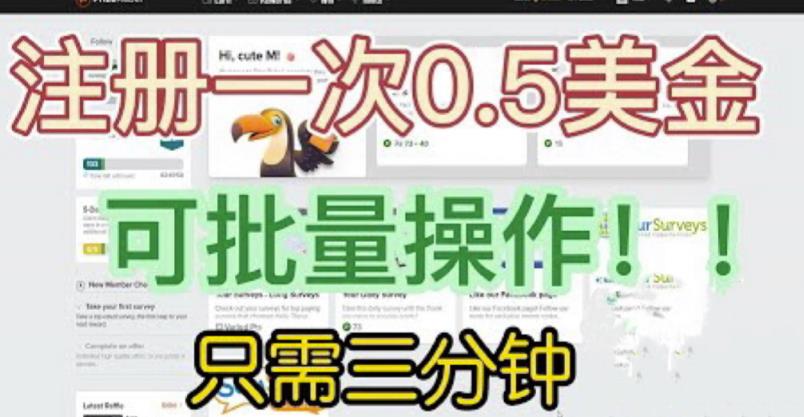 国外项目注册一次0.5美金，只需三分钟无脑操作，可批量同时放大操作，小白工作室福利【揭秘】-狼哥资源库