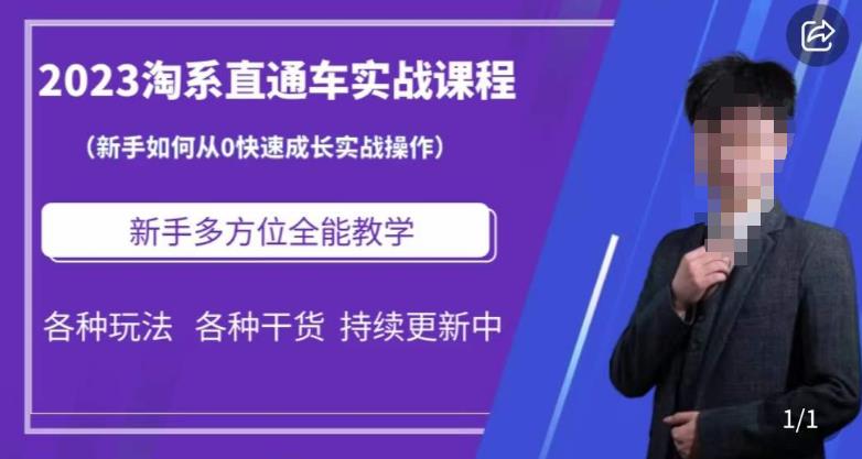 2023淘系直通车保姆式运营讲解，新手如何从0快速成长实战操作，新手多方位全能教学-狼哥资源库