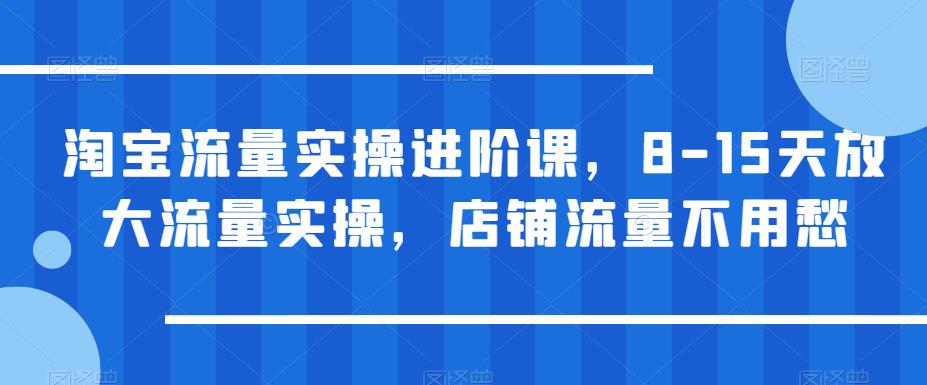 淘宝流量实操进阶课，8-15天放大流量实操，店铺流量不用愁-狼哥资源库