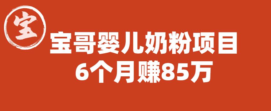 宝哥婴儿奶粉项目，6个月赚85w【图文非视频】【揭秘】-狼哥资源库