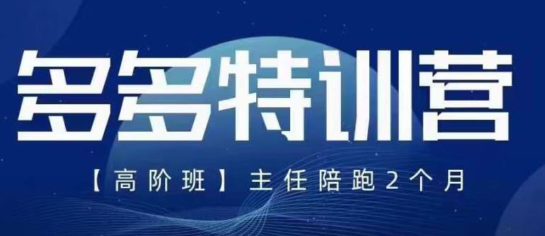 纪主任·5月最新多多特训营高阶班，玩法落地实操，多多全掌握-狼哥资源库