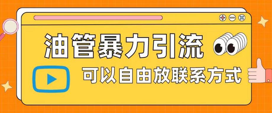 油管暴力引流，可以自由放联系方式【揭秘】-狼哥资源库