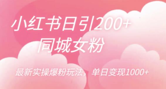 小红书日引200+同城女粉，最新实操爆粉玩法，单日变现1000+【揭秘】-狼哥资源库