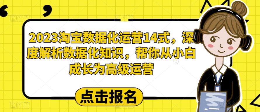 2023淘宝数据化运营14式，深度解析数据化知识，帮你从小白成长为高级运营-狼哥资源库