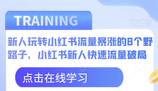 新人玩转小红书流量暴涨的8个野路子，小红书新人快速流量破局-狼哥资源库