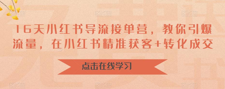 16天小红书导流接单营，教你引爆流量，在小红书精准获客+转化成交-狼哥资源库