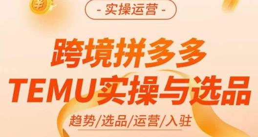 伍跃·跨境拼多多TEMU实操与选品，​趋势/选品/运营/入住（27节完整）-狼哥资源库