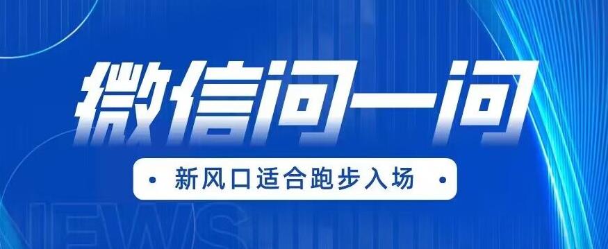 全网首发微信问一问新风口变现项目（价值1999元）【揭秘】-狼哥资源库