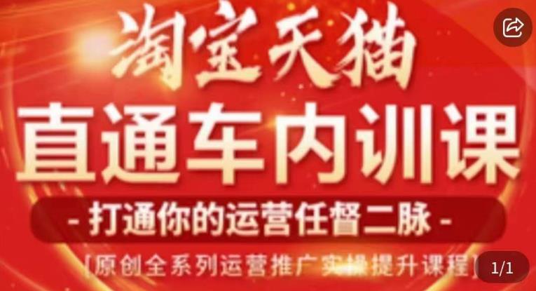 天问电商·2023淘宝天猫直通车内训课，零基础学起直通车运营实操课程-狼哥资源库