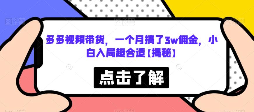 多多视频带货，一个月搞了3w佣金，小白入局超合适【揭秘】-狼哥资源库