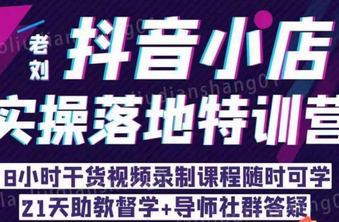 老刘·抖店商品卡流量，​抖音小店实操落地特训营，8小时干货视频录制课程随时可学-狼哥资源库