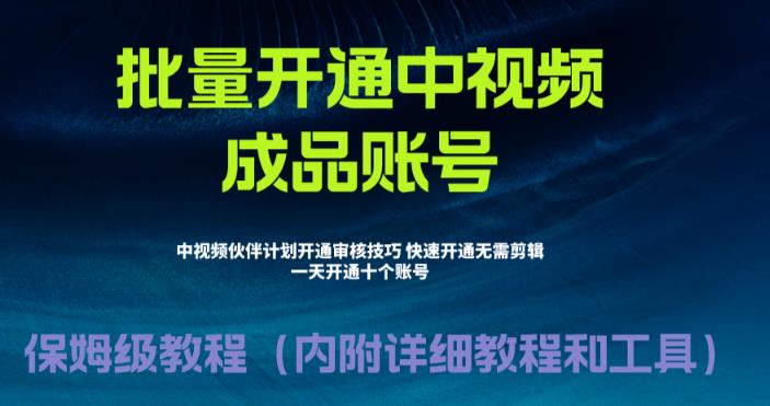 外面收费1980的暴力开通中视频计划教程，内附详细的快速通过中视频伙伴计划的办法-狼哥资源库