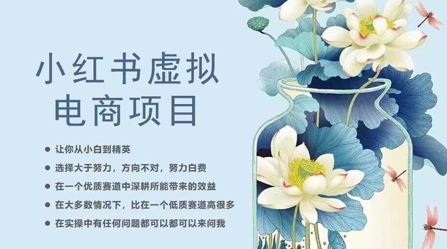 小红书虚拟电商从0到1，让你从小白到精英（20节实操课程）-狼哥资源库