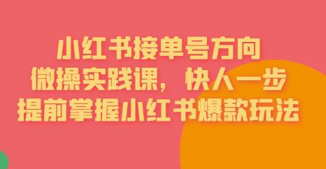 接单号方向·小红书微操实践课，快人一步，提前掌握小红书爆款玩法-狼哥资源库