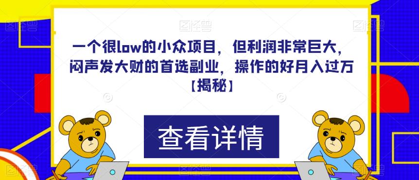 一个很low的小众项目，但利润非常巨大，闷声发大财的首选副业，操作的好月入过万【揭秘】-狼哥资源库