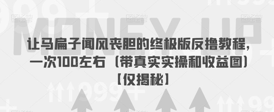 让马扁子闻风丧胆的终极版反撸教程，一次100左右（带真实实操和收益图）【仅揭秘】-狼哥资源库