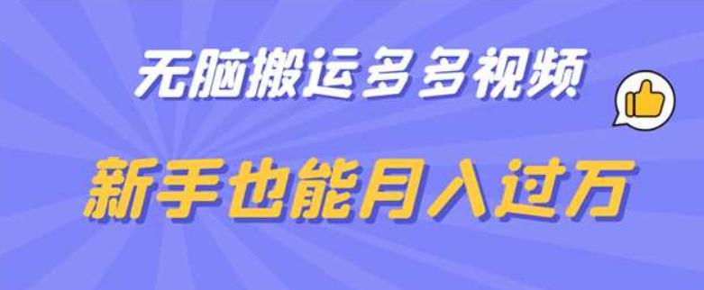 无脑搬运多多视频，新手也能月入过万【揭秘】-狼哥资源库