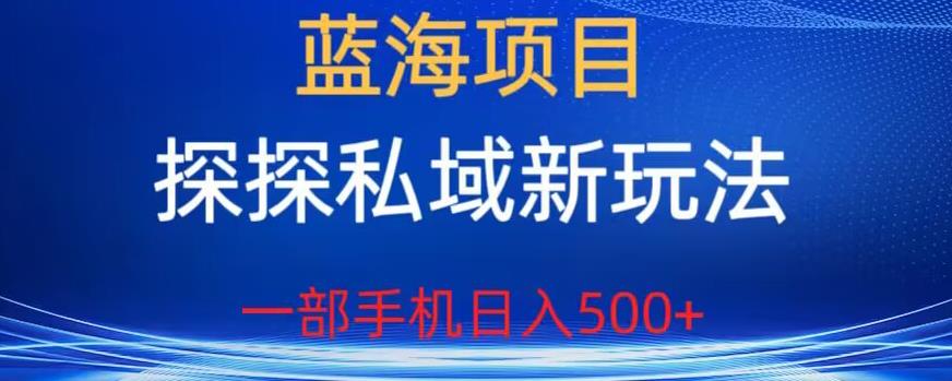 蓝海项目，探探私域新玩法，一部手机日入500+很轻松【揭秘】-狼哥资源库