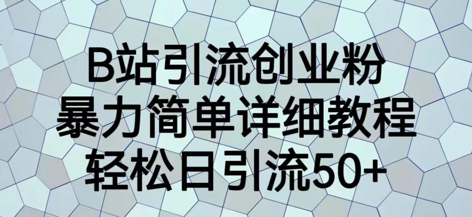 B站引流创业粉，暴力简单详细教程，轻松日引流50+【揭秘】-狼哥资源库