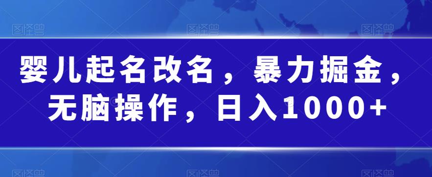 婴儿起名改名，暴力掘金，无脑操作，日入1000+【揭秘】-狼哥资源库