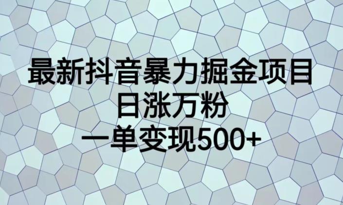 最新抖音暴力掘金项目，日涨万粉，一单变现500+【揭秘】-狼哥资源库