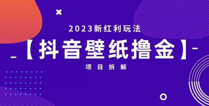 抖音壁纸小程序创作者撸金项目，2023新红利玩法【项目拆解】-狼哥资源库