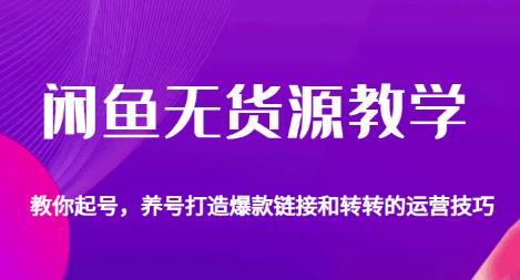 闲鱼无货源教学，教你起号，养号打造爆款链接以及转转的运营技巧-创业项目致富网、狼哥项目资源库