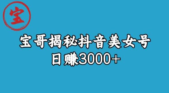 宝哥揭秘抖音美女号玩法，日赚3000+【揭秘】-创业项目致富网、狼哥项目资源库