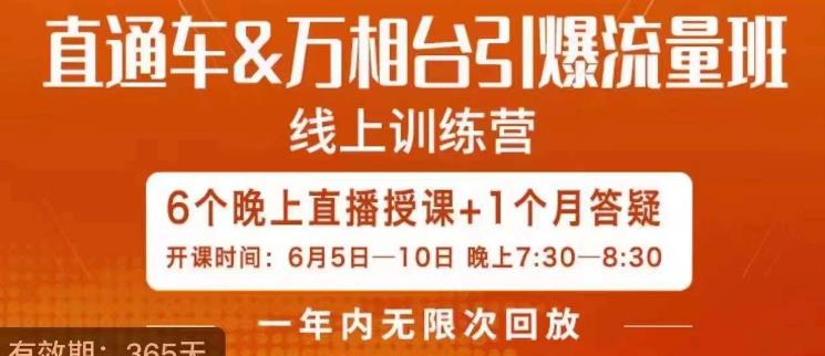 直通车&万相台引爆流量班，6天打通你开直通车·万相台的任督二脉-创业项目致富网、狼哥项目资源库