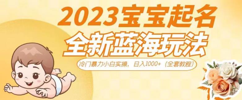 2023宝宝起名全新蓝海玩法，冷门暴力小白实操，日入1000+（全套教程）【揭秘】-狼哥资源库