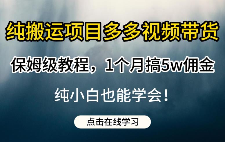 纯搬运项目多多视频带货保姆级教程，1个月搞5w佣金，纯小白也能学会【揭秘】-创业项目致富网、狼哥项目资源库