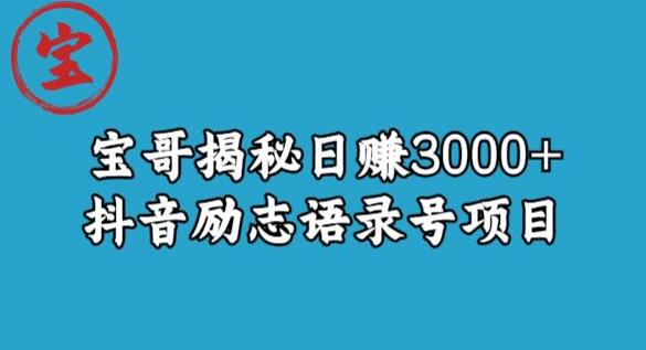 宝哥揭秘抖音励志语录号短视频变现项目，日赚3000+-狼哥资源库