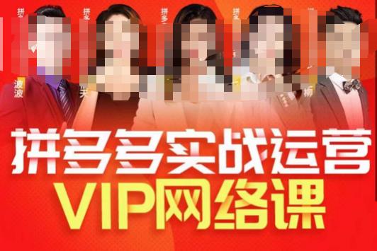 推易拼多多VIP全套直播课程，拼多多店铺实操玩法+实战玩法选款内功+直通车高阶等-狼哥资源库