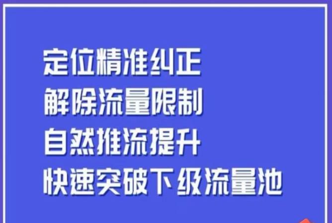 同城账号付费投放运营优化提升，​定位精准纠正，解除流量限制，自然推流提升，极速突破下级流量池-狼哥资源库