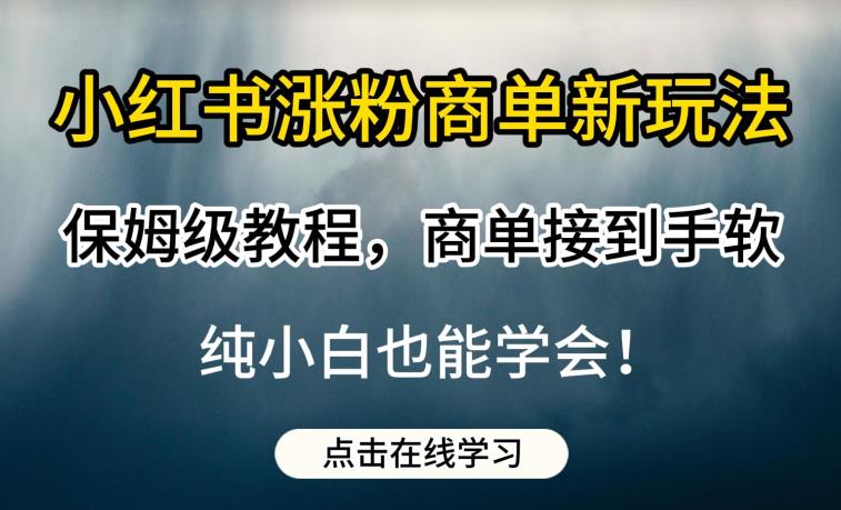 小红书涨粉商单新玩法，保姆级教程，商单接到手软，纯小白也能学会【揭秘】-狼哥资源库