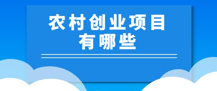 农村创业项目有哪些，6个投资成本千元以内的暴利小本生意，年收益30-50万！-创业项目致富网、狼哥项目资源库