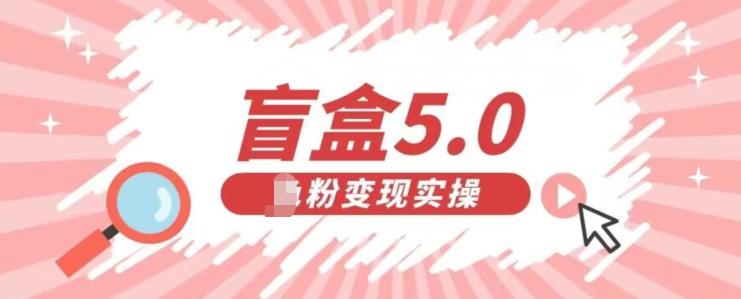 盲盒交友5.0，男粉变现实操项目，亲测变现效果极好【揭秘】-狼哥资源库