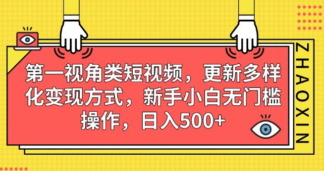 第一视角类短视频，更新多样化变现方式，新手小白无门槛操作，日入500+【揭秘】-狼哥资源库