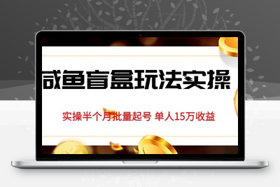 独家首发闲鱼盲盒玩法实操，半个月批量起号单人15万收益【揭秘】-狼哥资源库