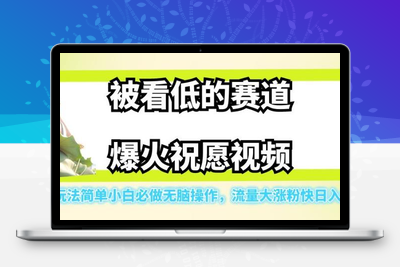 被看低的赛道爆火祝愿视频，玩法简单小白必做无脑操作，流量大涨粉快日入500-狼哥资源库