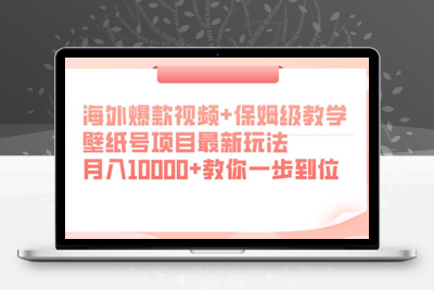 海外爆款视频+保姆级教学，壁纸号项目最新玩法，月入10000+教你一步到位【揭秘】-狼哥资源库